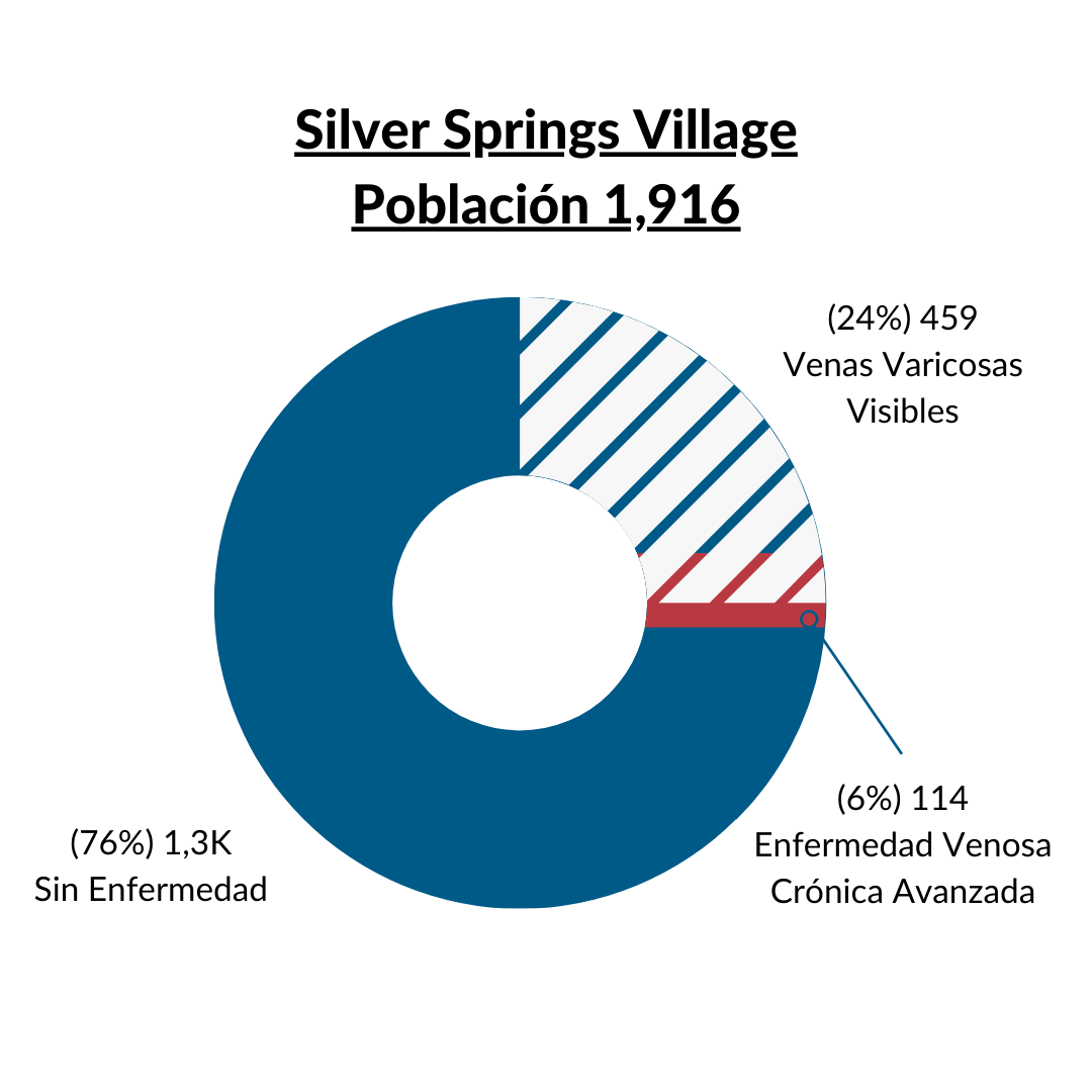 Silver Springs Village